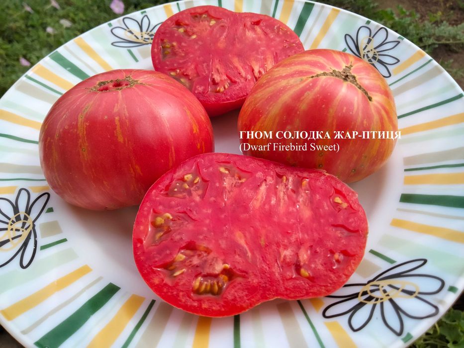 Помідори. Набір помідор.насіння помідор,домашние семена,семена помидор