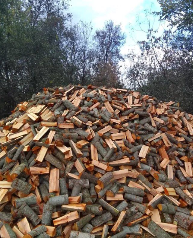 ДРОВА ОПТ та роздріб. Тверді породи за цінами минулого року. 2/12 КУБ