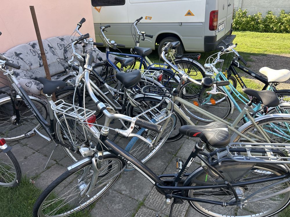 Rower gazelle, giant, batavus