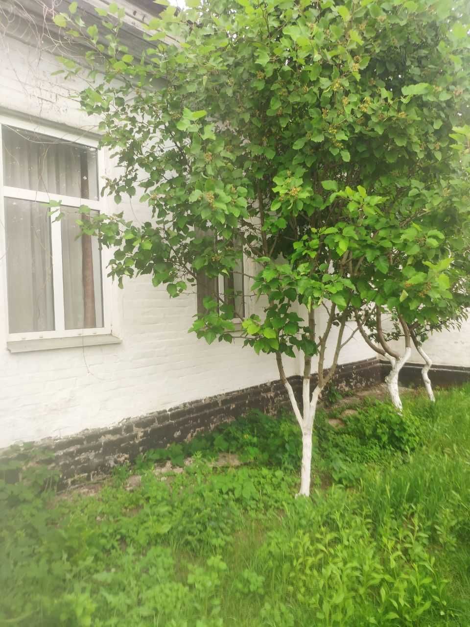Продається частина будинку в м.Городище, Черкаська обл., вул.Рафінадна