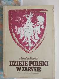 Dzieje Polski w zarysie, M. Bobrzyński