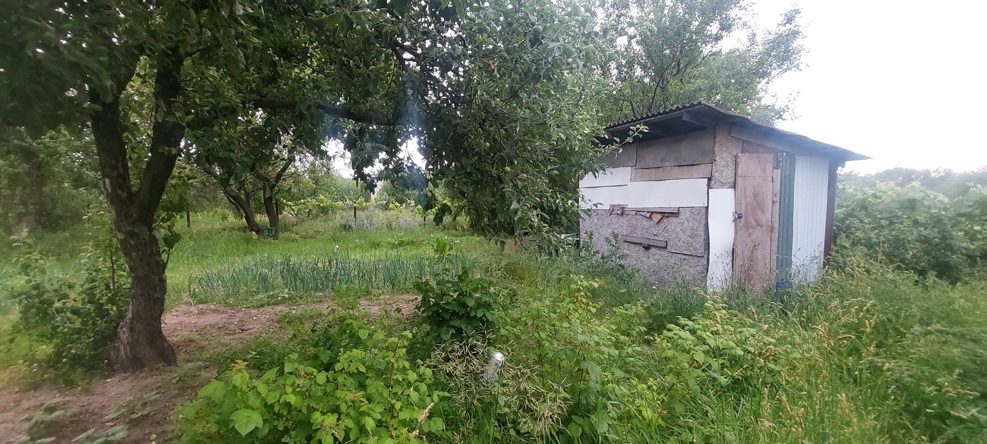 Продам дачный участок в Солоницевке