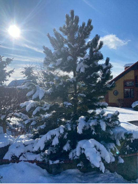 Будинок Крюківщина 220м2 з генератором , каміном від власника