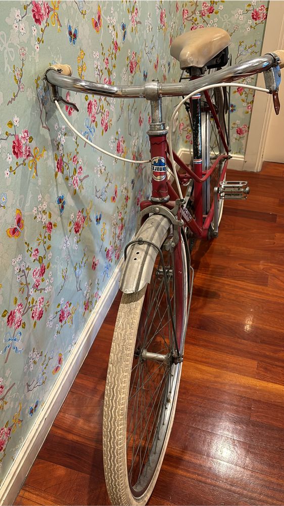Bicicleta pasteleira vintage