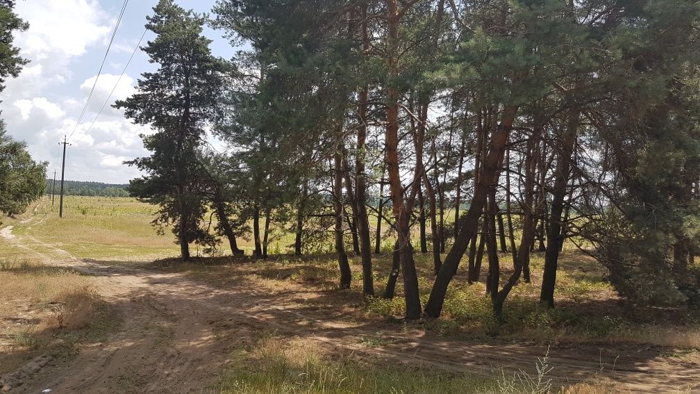 Ділянка біля води с. Лебедівка