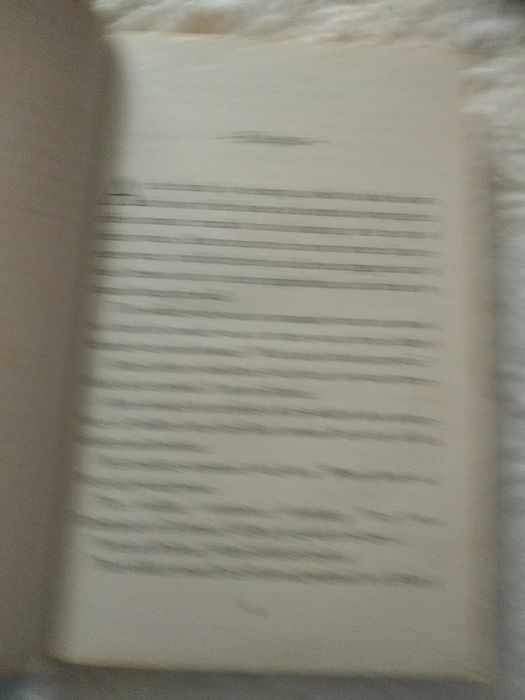 The refugee boy (inglês)