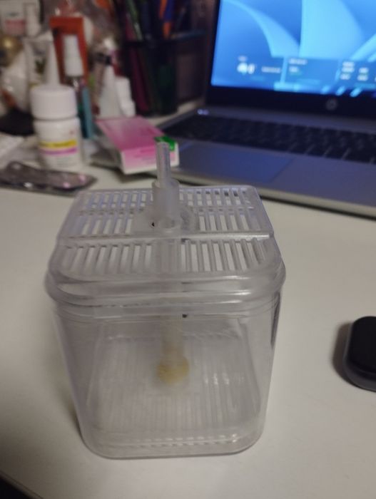 Микрокомпрессор Скалярий СССР.