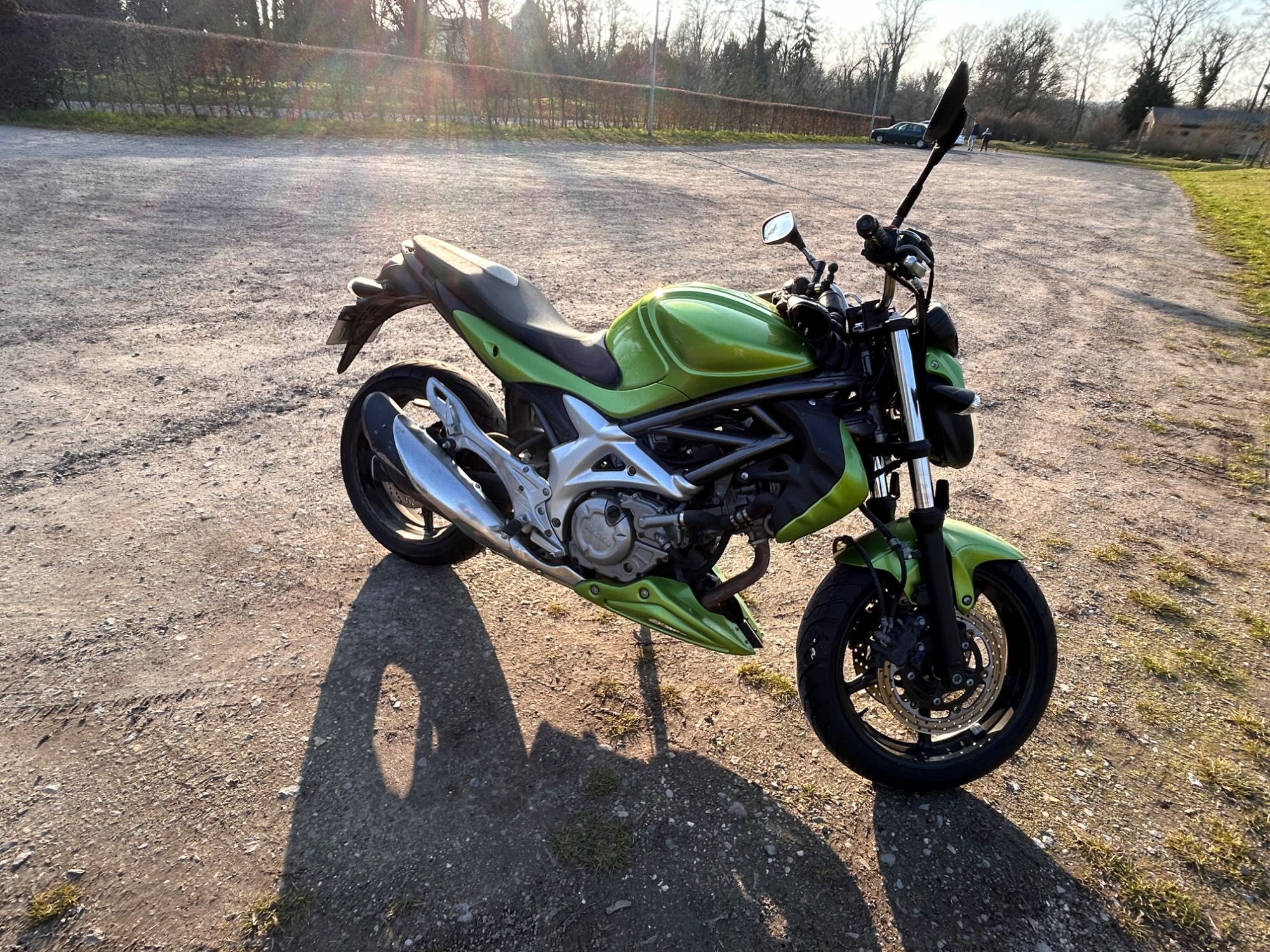 Suzuki Gladius 650