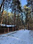 20 соток с лесу, Курорт Песчанка.