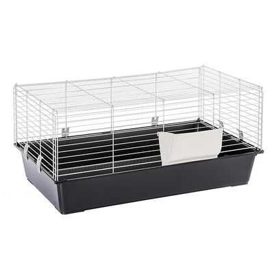 Gaiola nova, Comida para Hamster e Comida Peixe de água fria