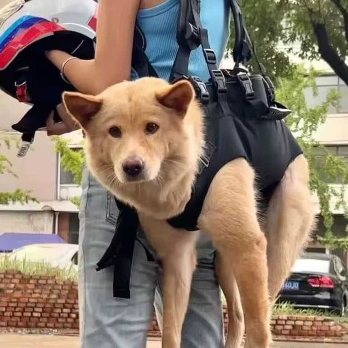 Сумка-рюкзак для перенесення собак малих , середніх і великих порід