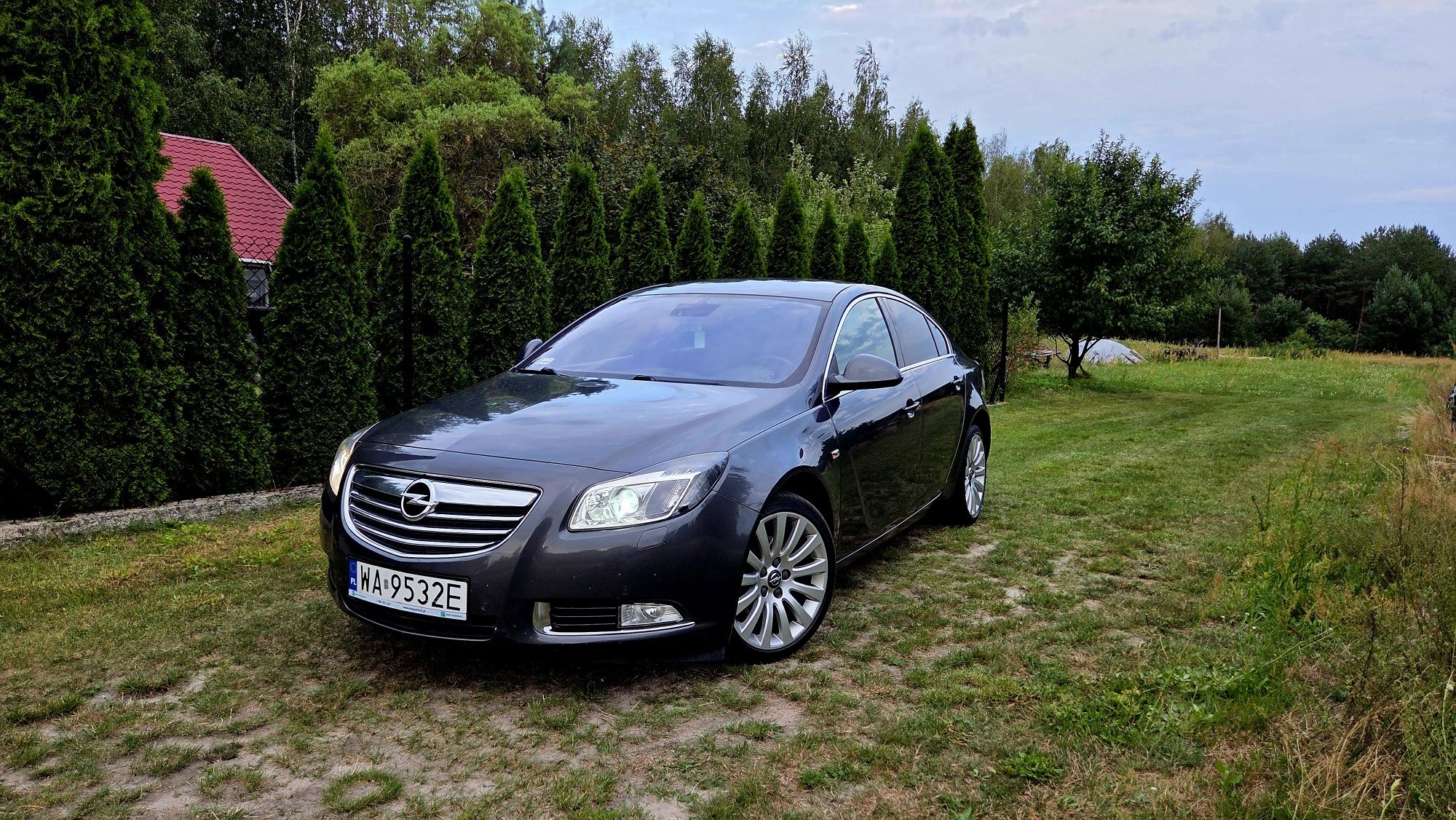 Opel Insignia 2.0 CDTI 160 KM, Salon Polska