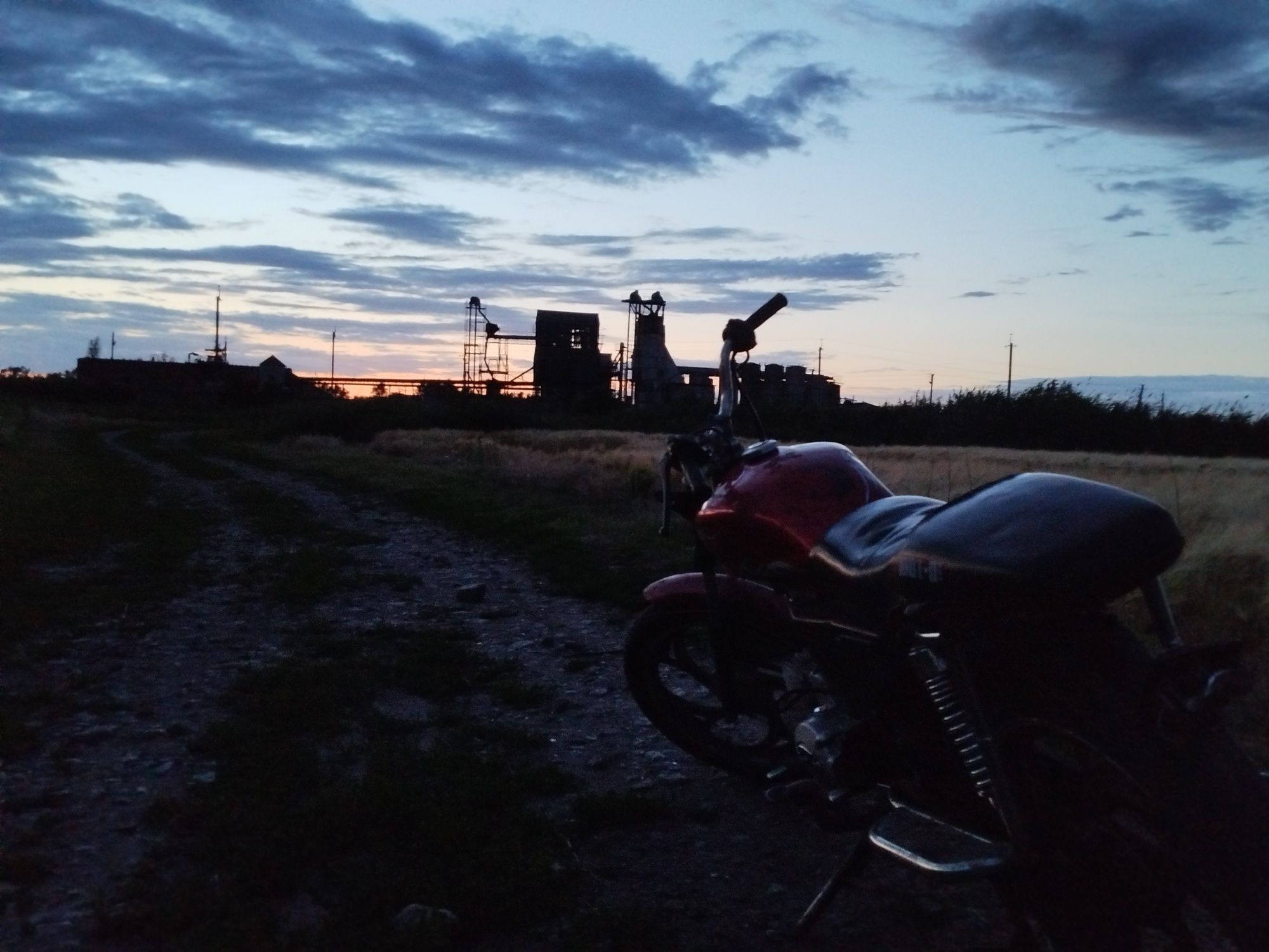 Alpha mustang 125