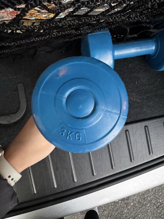 2 Halteres de 3kg cada