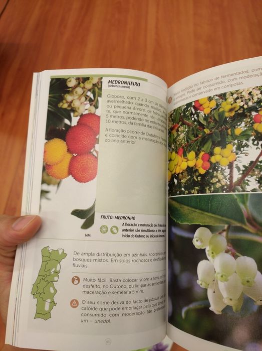 2 Guias práticos "Ervas silvestres" e "Frutos silvestres comestíveis "