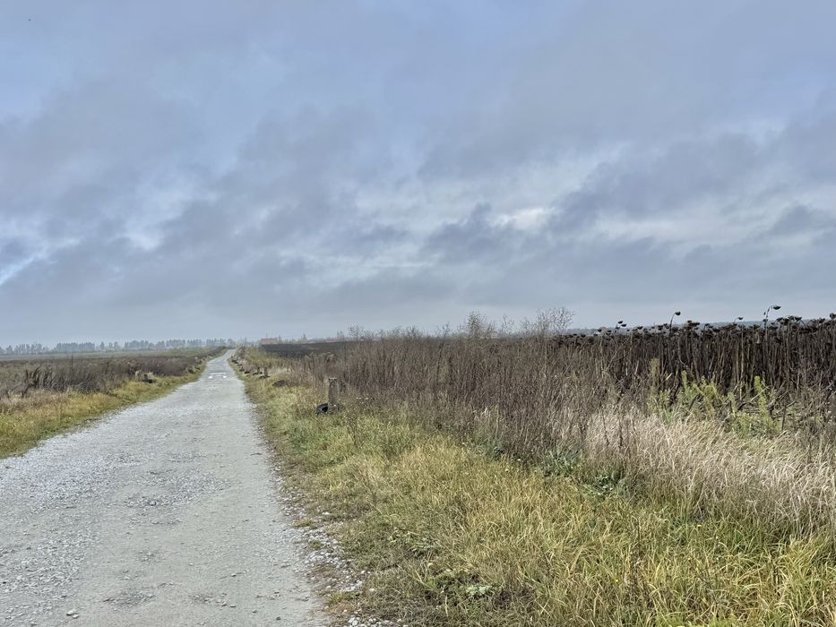 Земельна ділянка 20,17 га! с.Небелиця