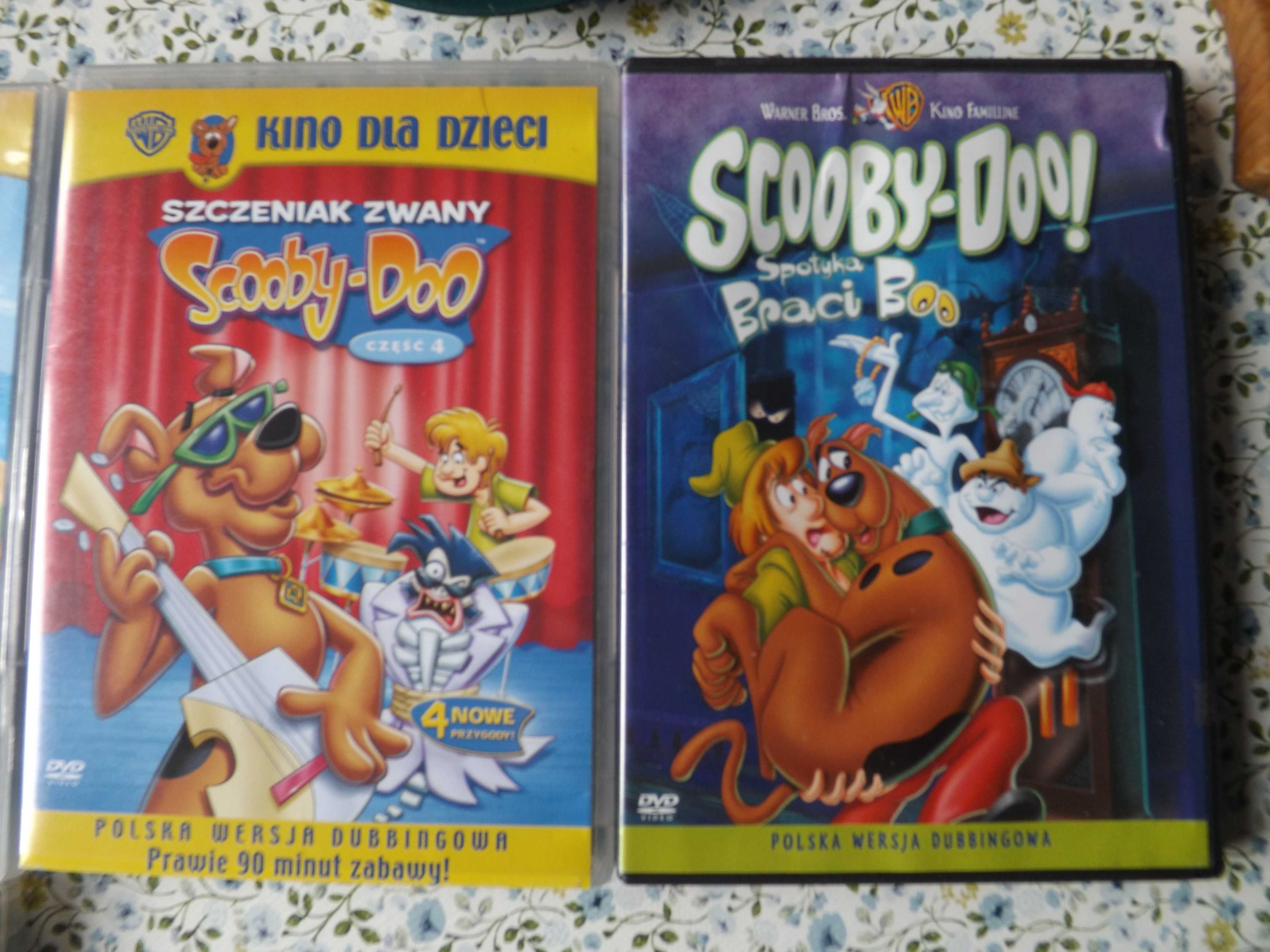 Szczeniak zwany Scooby Doo, zagadki, bracia Boo bajki dvd