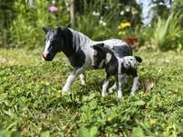 Schleich custom parka klacz i zrebie