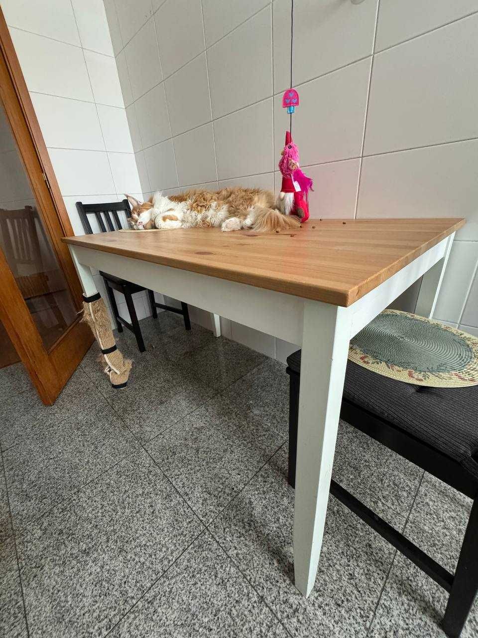 Mesa de cozinha (e gato)