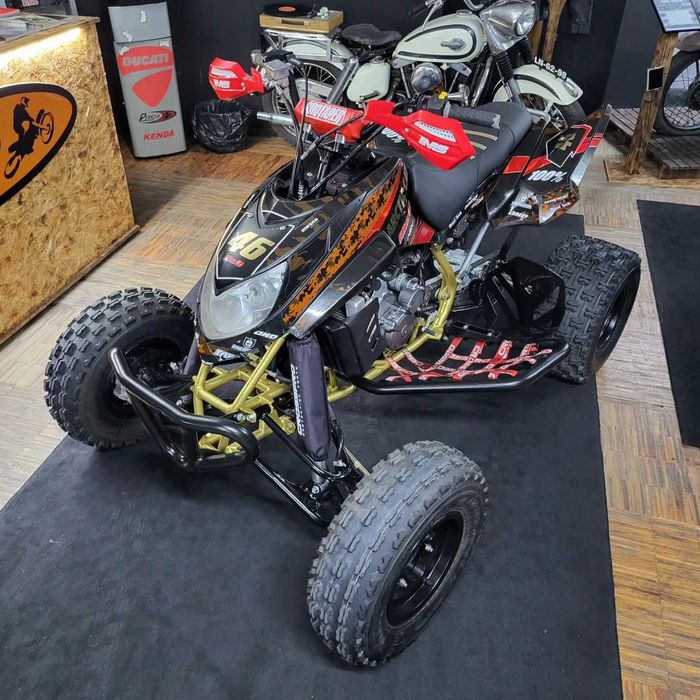 Arctic Cat DVX 400