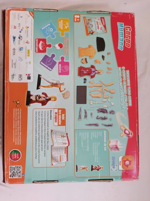 Brinquedo educativo Corpo Humano
