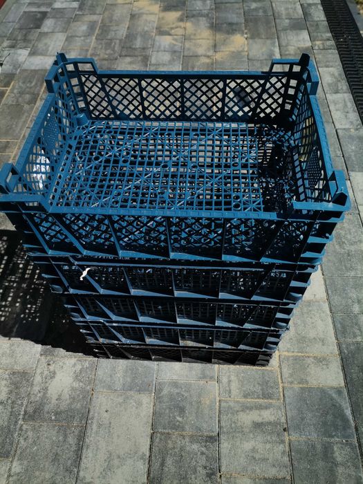 Skrzynki plastikowe typowe do pieczarki 30x40