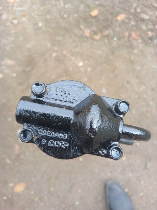 Домкрат волговський