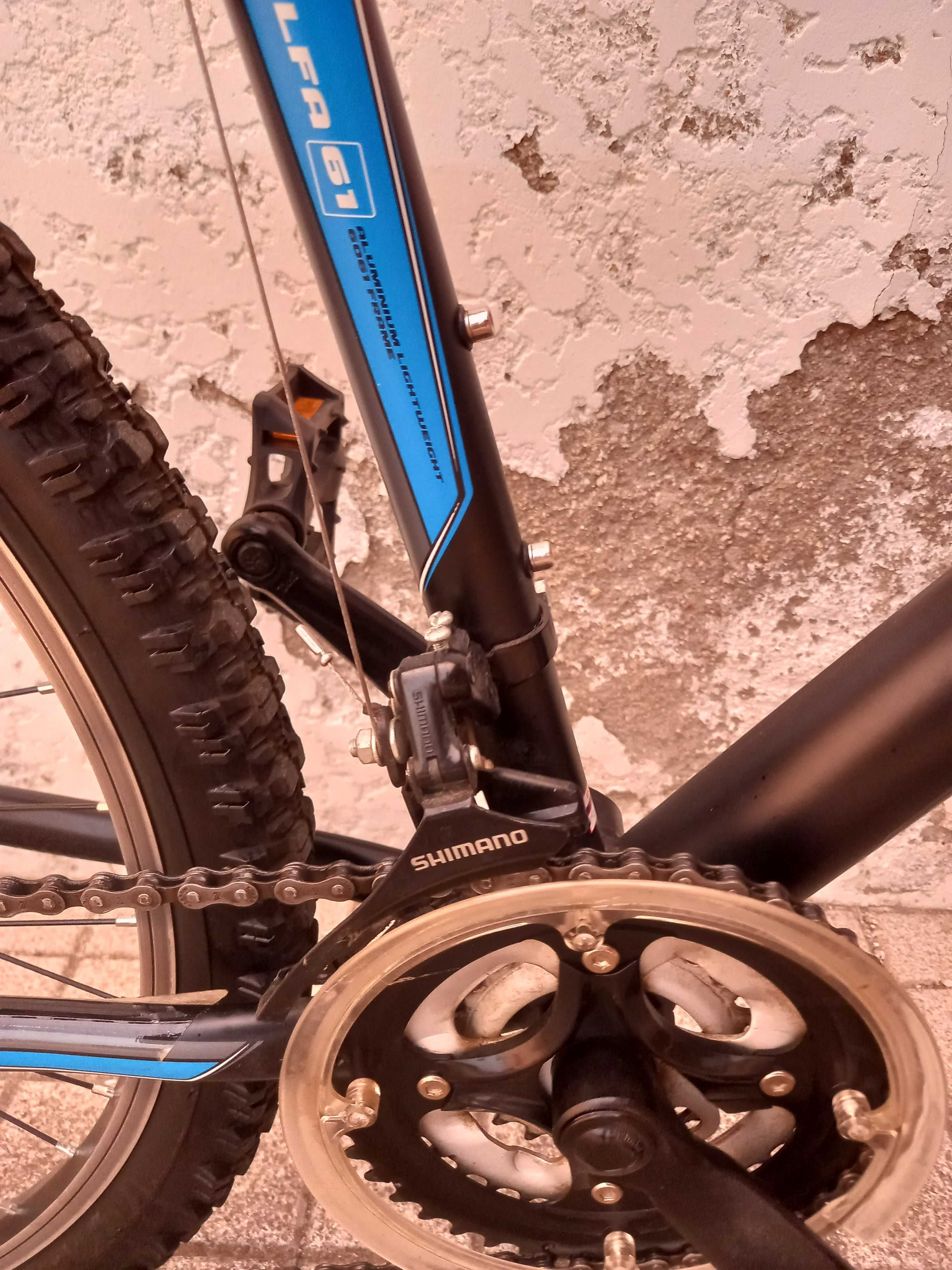 Duas bicicletas BTT BERG para venda