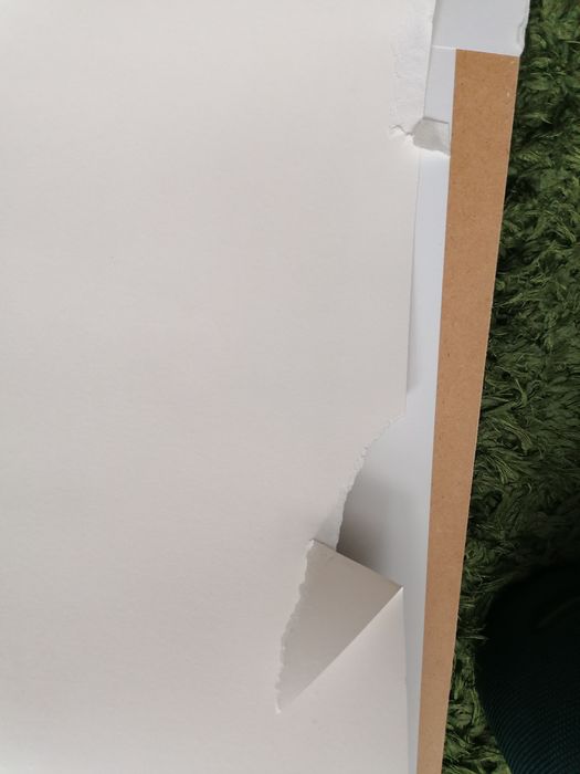 Aleksandra Waliszewska - ogród - uszkodzona litografia