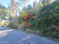 Terreno florestal, Duas Igrejas