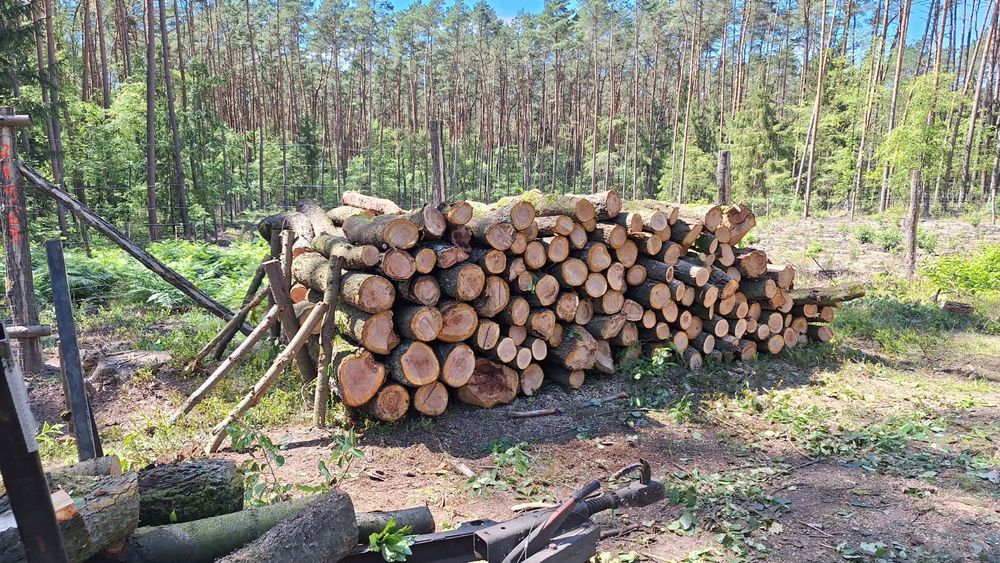 Drewno opałowe liściaste I iglaste transport pod adres.