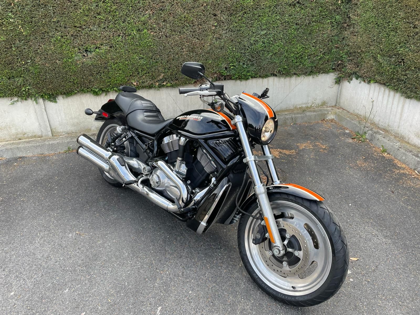 Harley Davidson Night Rod "Harley Racing Paint"