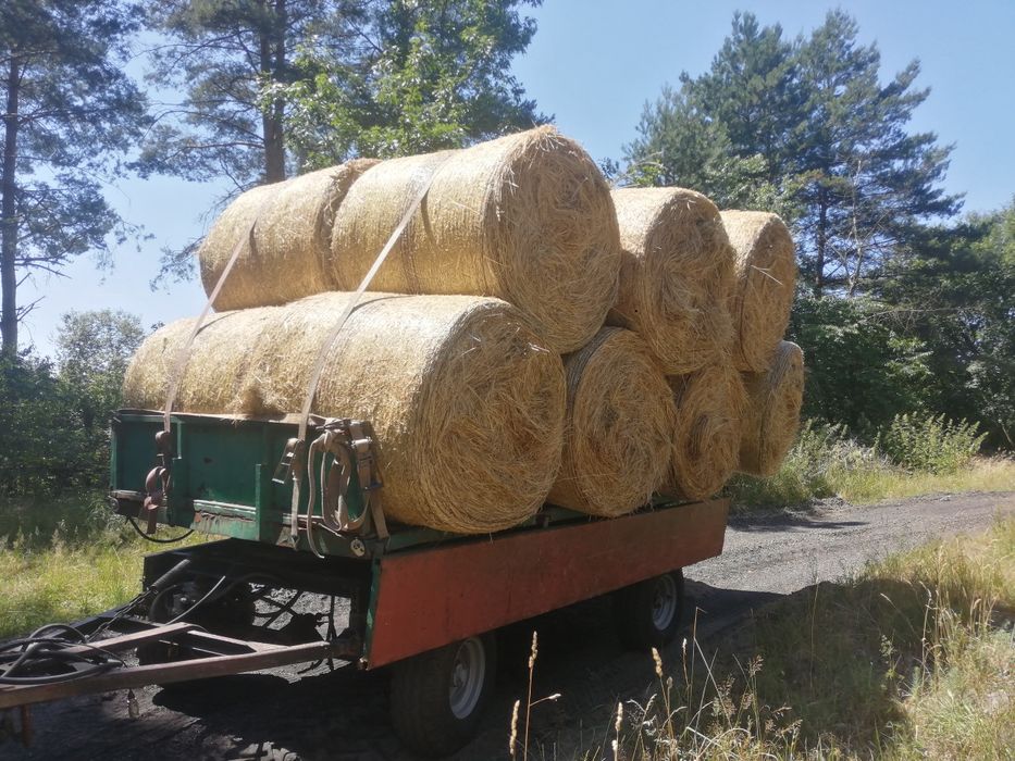 Sprzedam siano baloty