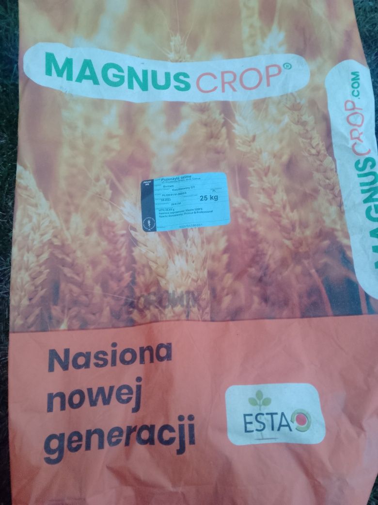 Pszenżyto Tadeus i Borowik C1 Po Centrali
