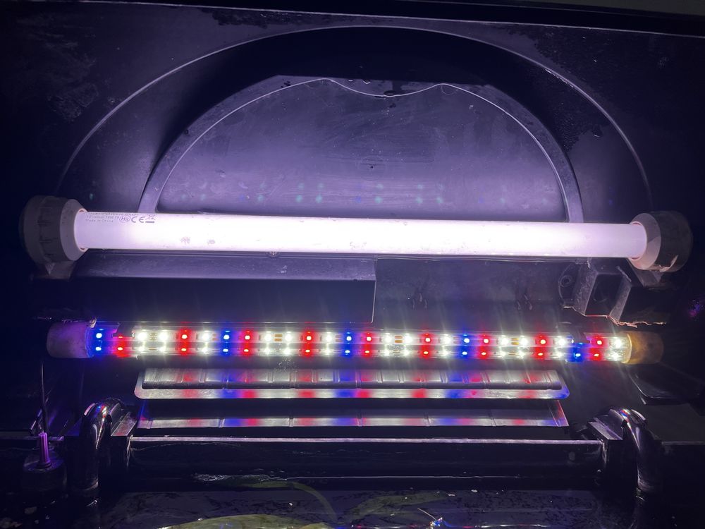 Akwarium 80L KOMPLETNE