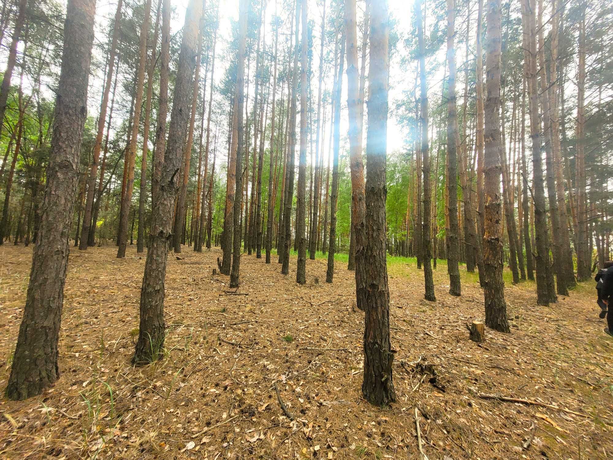 Ділянки 12,73 га з озером та лісом с. Гавронщина, 40 хв від Києва!