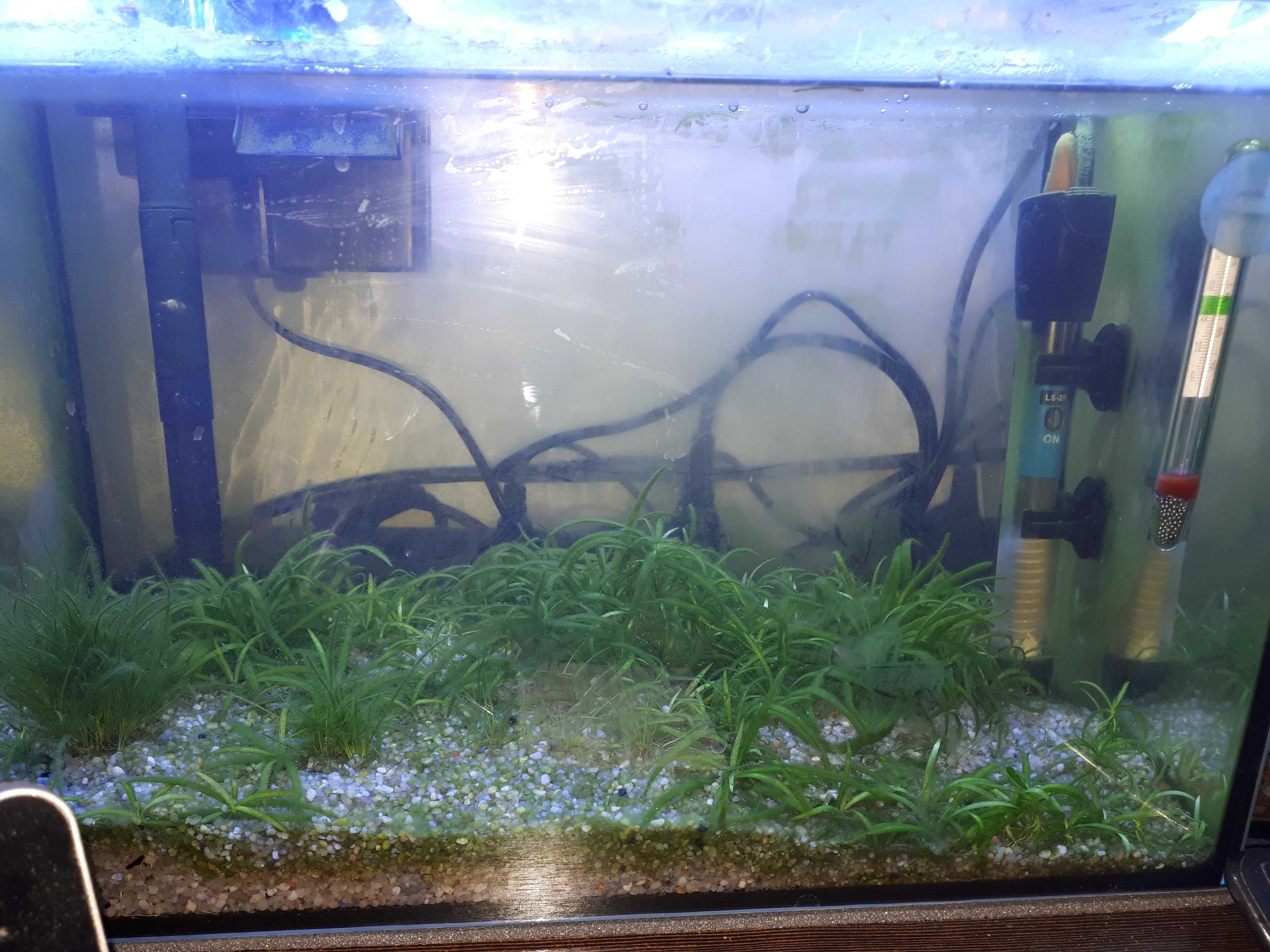 Akwarium 25 l z całym sprzętem