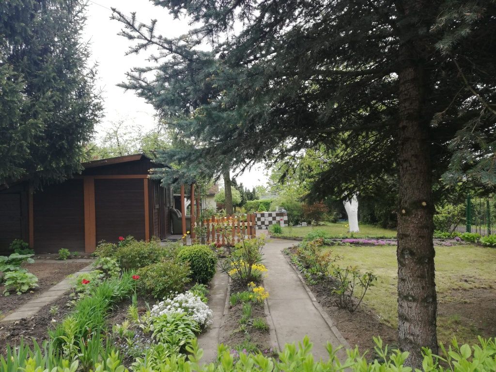 Ogródek Bytom ROD Zawadzkiego