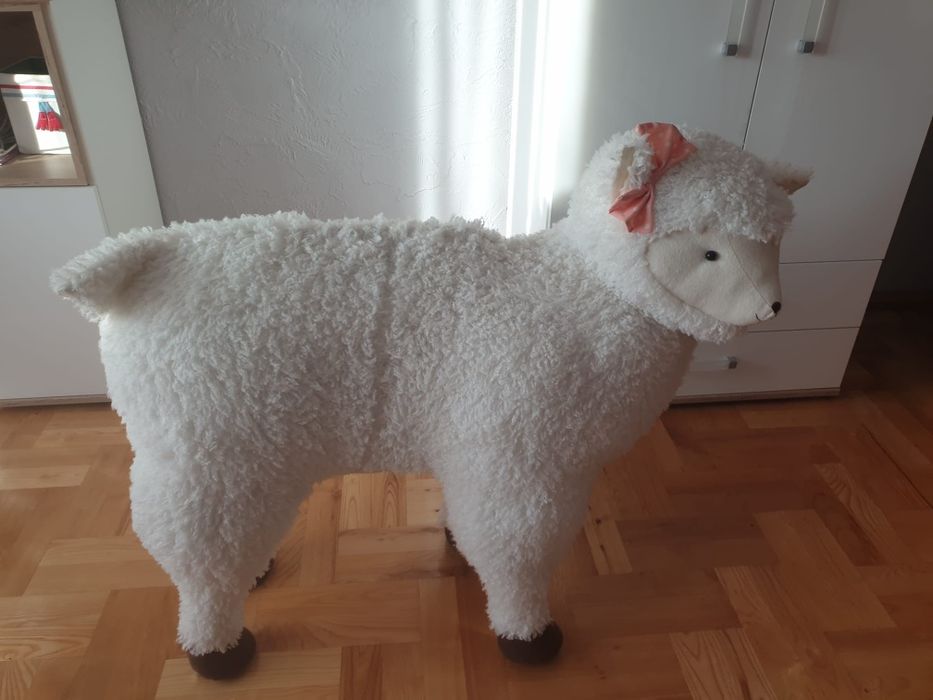 Owieczka , duża owca