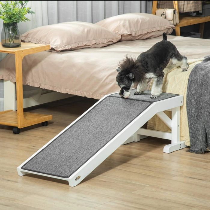 Rampa Pawhut dla psa, kota