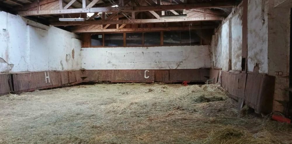 Wynajem stajni (obiektu lub boksów)