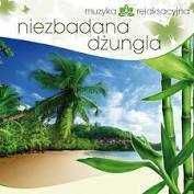 Muzyka relaksacyjna - Niezbadana dżungla (CD)