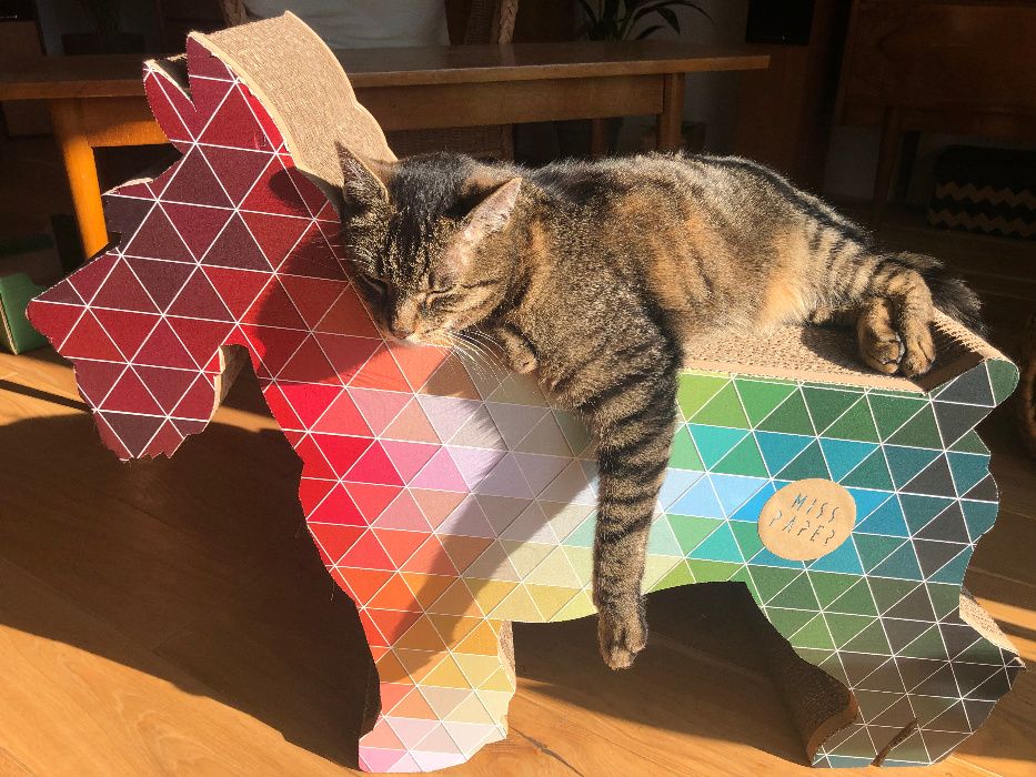 Nadal szukamy Kitka! Nagroda za pomoc!