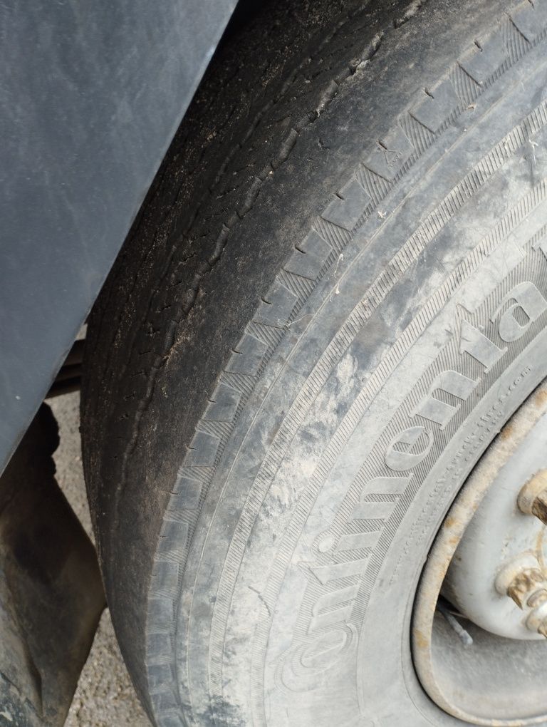 Renault Magnum 2006 рік