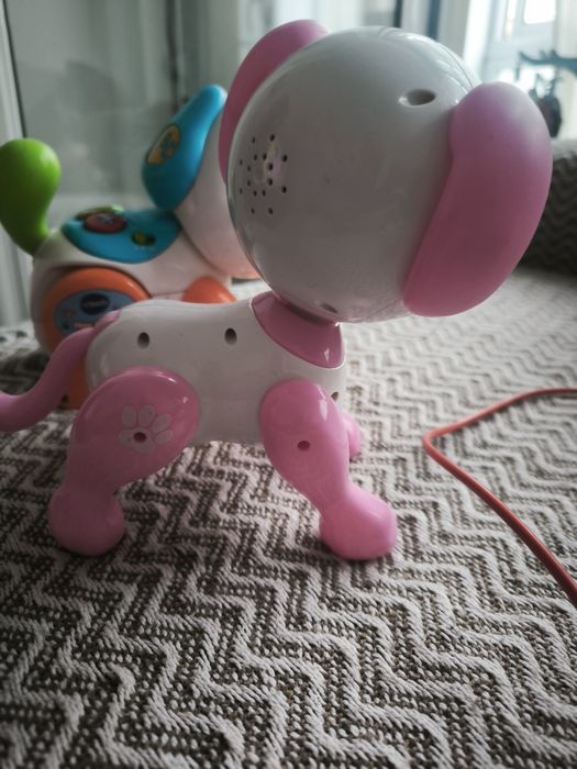 Robô verbaut, dog tou,tou gato de passeio