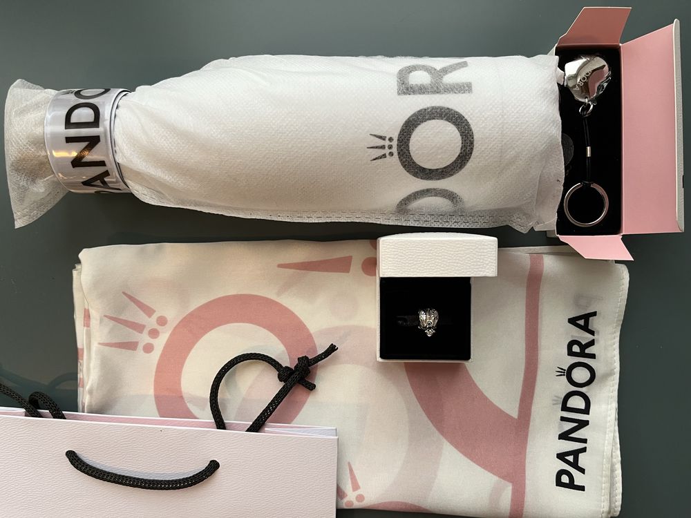 Zestaw dla fanki Pandora charms Winiper