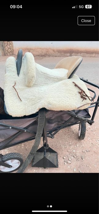 Montura vaquera marca amazona