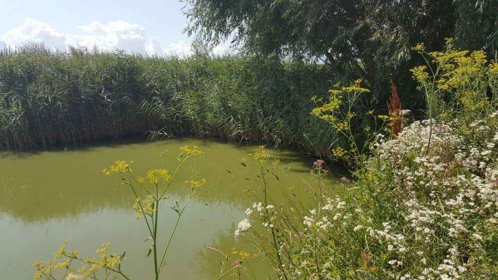 Продам дві суміжні ділянки в районі Карань