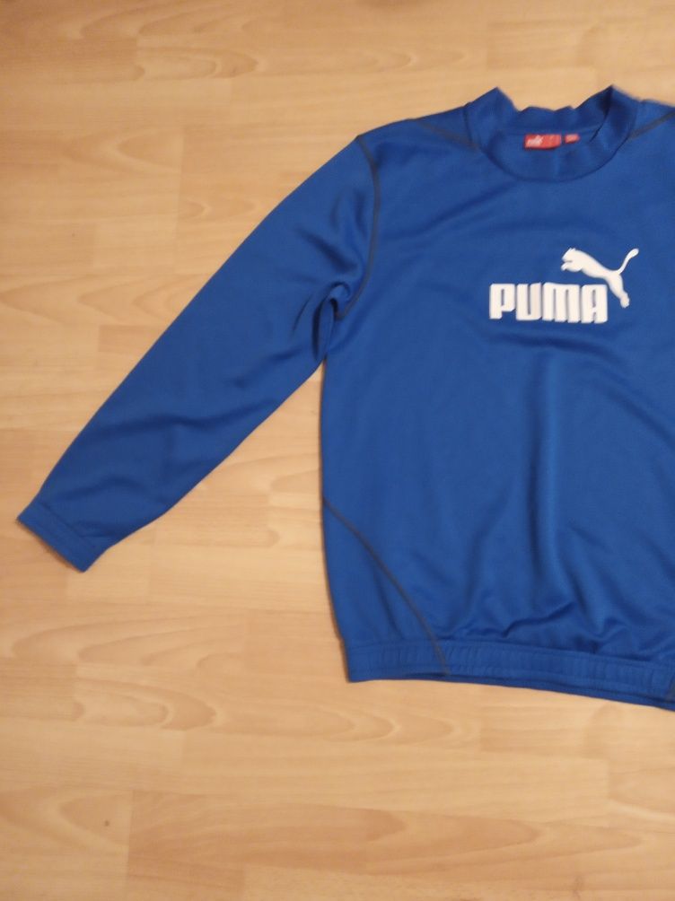 Bluza firmowa puma.