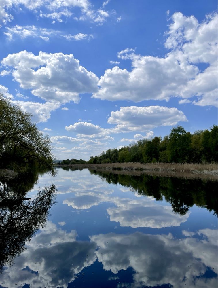 Дача Мрії біля Лісу та Річки — Сади “Дружба”